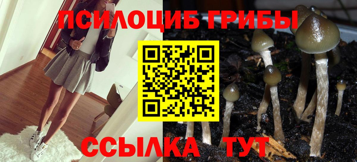 Псилоцибиновые грибы Cubensis Бугуруслан