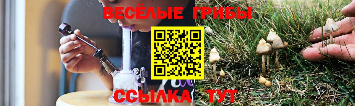 Бугуруслан  Псилоцибиновые грибы мицелий  Вход с VPN 